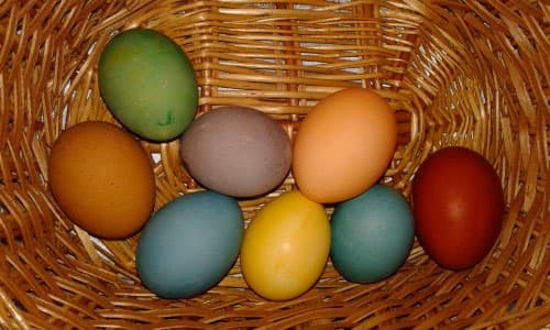 как покрасить яйца своими руками