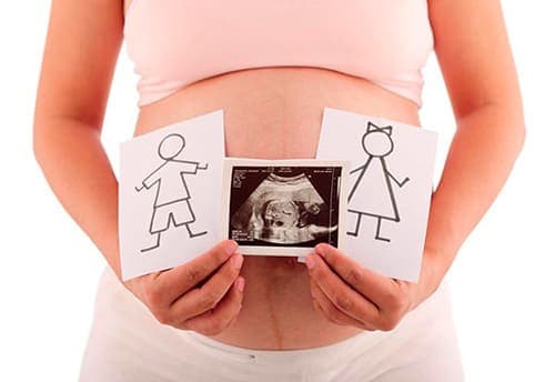 на каком сроке беременности можно узнать пол