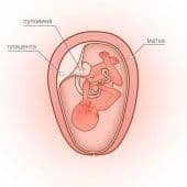 Слегка режущая боль внизу живота при беременности