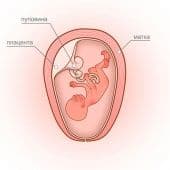 Спазматические боли внизу живота на ранних сроках беременности