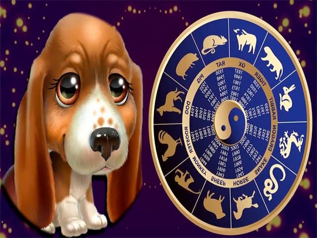 Тест: какая ты собака по знаку зодиака