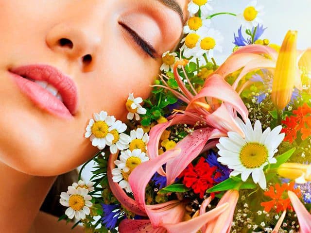 Какие цветы ты предпочитаешь? Какие цветы ты предпочитаешь?