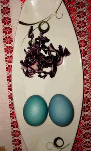 покраска яиц синей капустой