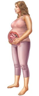 36-я неделя беременности: развитие плода