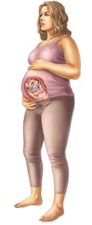 39-я неделя беременности: развитие плода