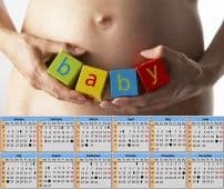 Онлайн календарь зачатия