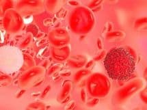 Лейкоциты в крови повышены при беременности