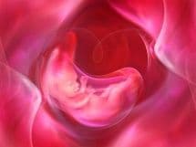 Зрелость плаценты по неделям беременности