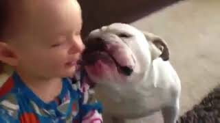 Ребенок и собака верный друг