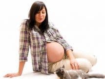 Токсоплазмоз при беременности