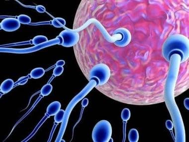 Сколько спермы нужно чтобы забеременеть