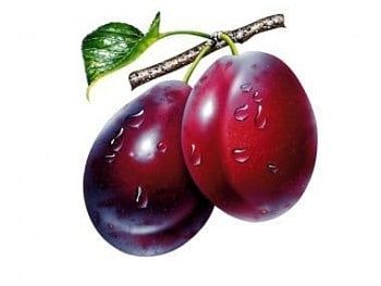 Сливы при беременности