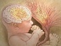 Когда формируется плацента при беременности