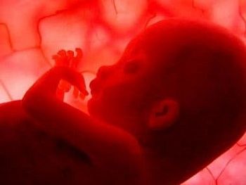 Омывание плода при беременности на ранних сроках