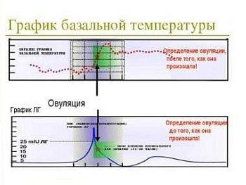 Как правильно читать графики бт